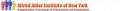 AAINY logo full 2013 157 800 600 80